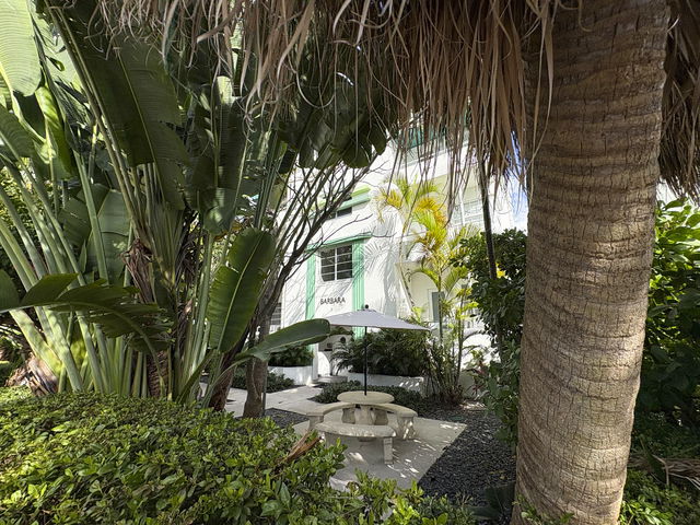 The Barbara  photo 2